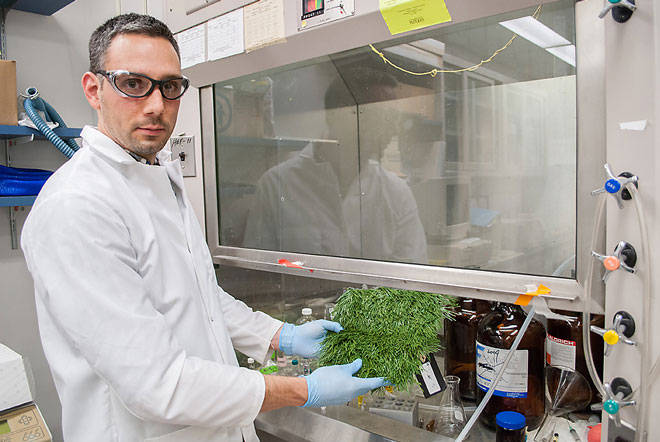 Researchers in the Exposure Science Division study the com